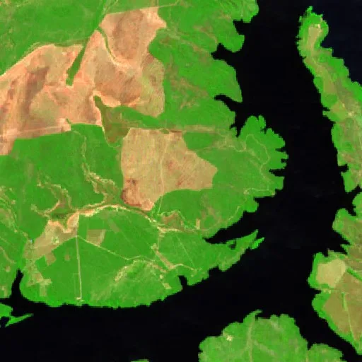 Wildfire near São Salvador do Tocantins (Jul 22) — Sentinel-2 SWIR (fuego)