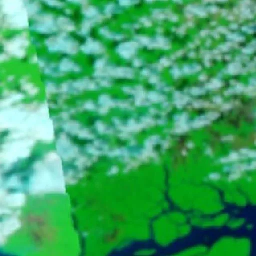 Wildfire near São Sebastião da Boa Vista — NASA satellite
