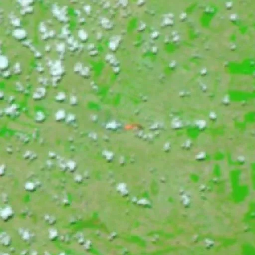 Wildfire near Sapucaia — NASA satellite