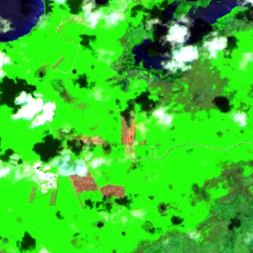 Wildfire near Sarteneja — Sentinel-2 SWIR (fuego)