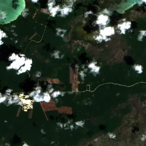 Wildfire near Sarteneja — Sentinel-2 true color