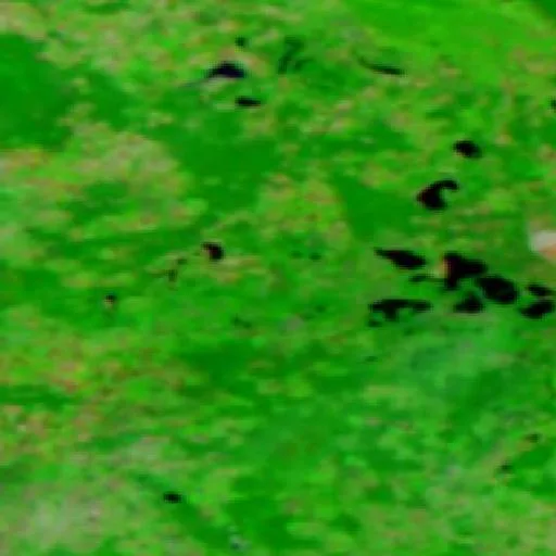 Wildfire near Schipkau — NASA satellite