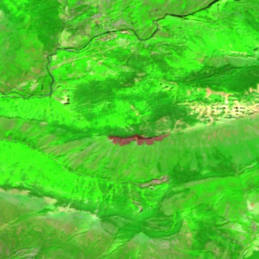 Wildfire near Seira — Sentinel-2 SWIR (fuego)