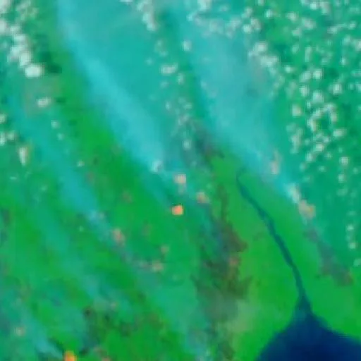 Wildfire near Semuda (Sep 20 · NW) — NASA satellite