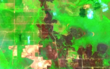 Wildfire near Ampana, Indonesia (2026) — Map & Containment