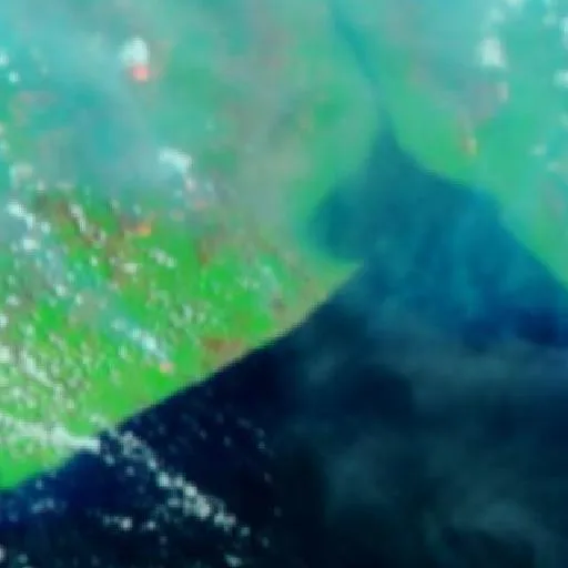 Wildfire near Semuda (Oct 17 · S) — NASA satellite