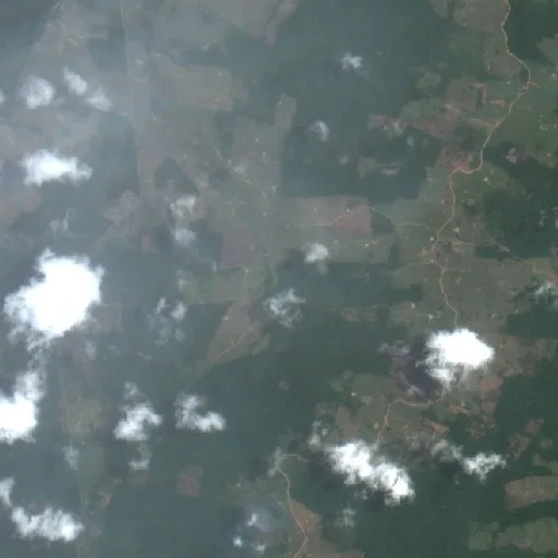 Incendio cerca de Sena Madureira (6 oct · W) — Sentinel-2 true color