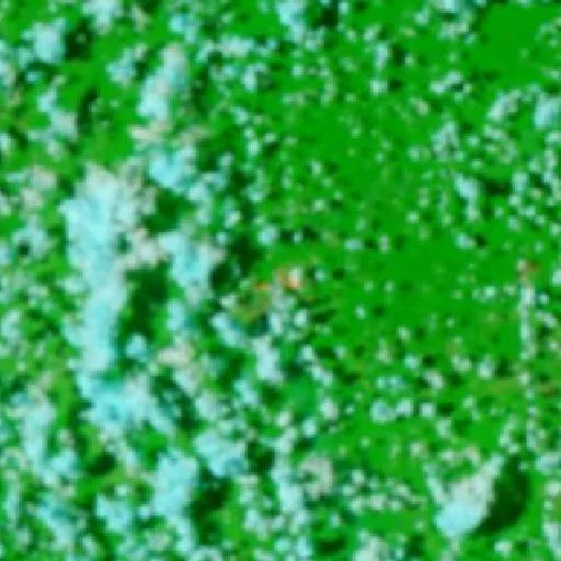Wildfire near Sena Madureira — NASA satellite