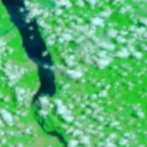 Wildfire near Senador José Porfírio — NASA satellite