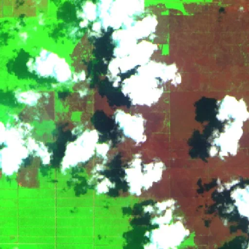 Wildfire near Sendawar — Sentinel-2 SWIR (fuego)