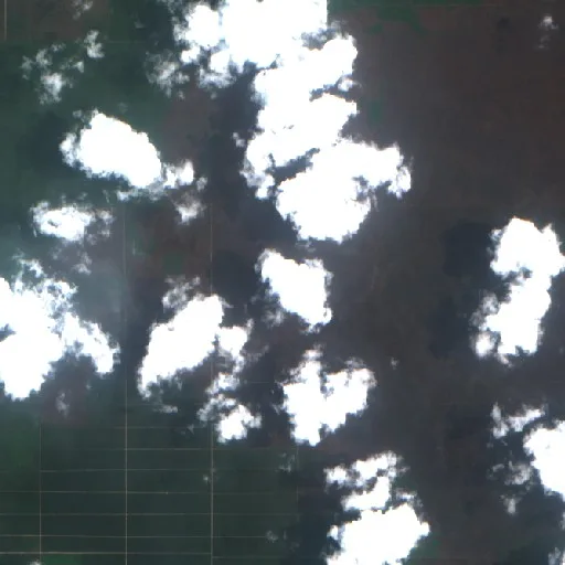 Wildfire near Sendawar — Sentinel-2 true color