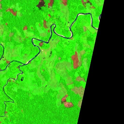 Wildfire near Seringal Democracia — Sentinel-2 SWIR (fuego)