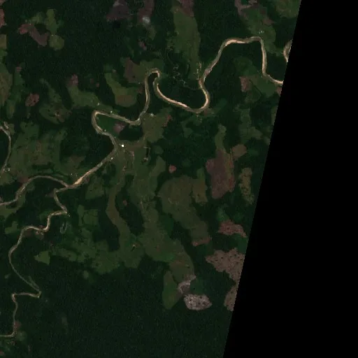 Wildfire near Seringal Democracia — Sentinel-2 true color