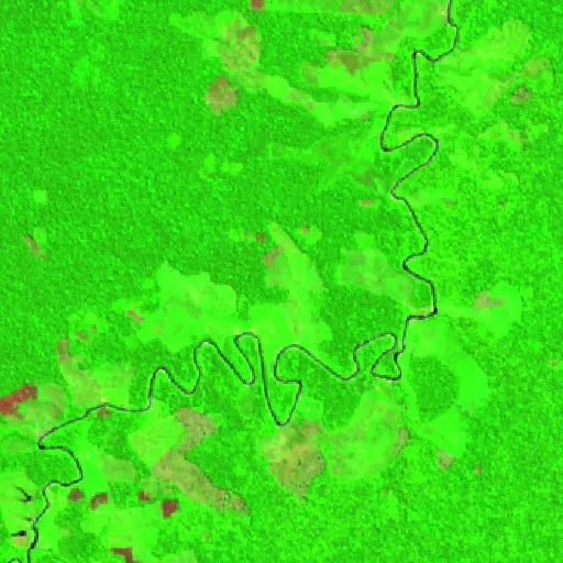 Incendio cerca de Seringal Monte Verde — Sentinel-2 SWIR (fuego)
