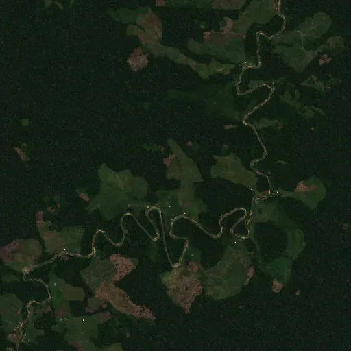 Incendio cerca de Seringal Monte Verde — Sentinel-2 true color