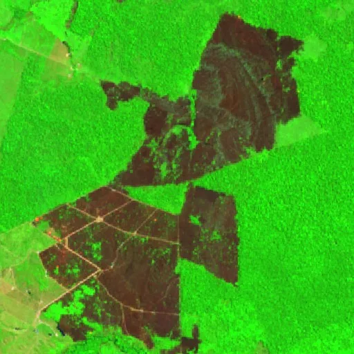 Incendio cerca de Seringal Nova Vida — Sentinel-2 SWIR (fuego)
