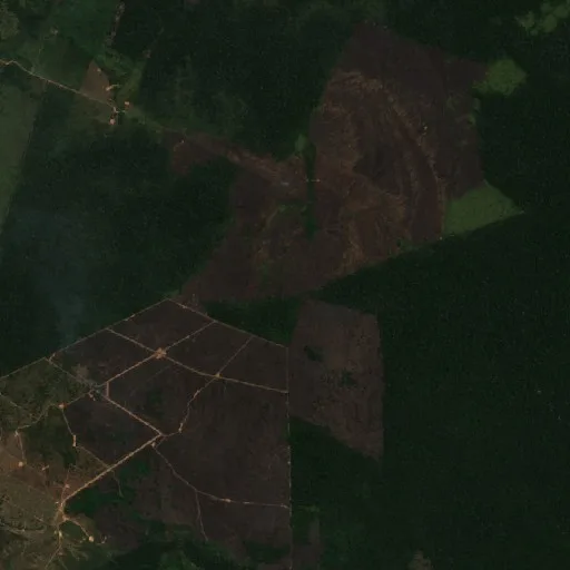 Incendio cerca de Seringal Nova Vida — Sentinel-2 true color