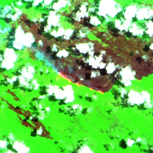Wildfire near Seruyan — Sentinel-2 SWIR (fuego)