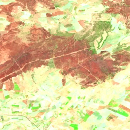Wildfire near Sidi Amar — Sentinel-2 SWIR (fuego)