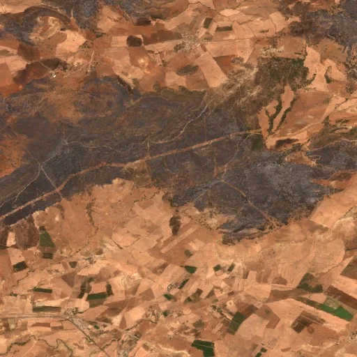 Wildfire near Sidi Amar — Sentinel-2 true color