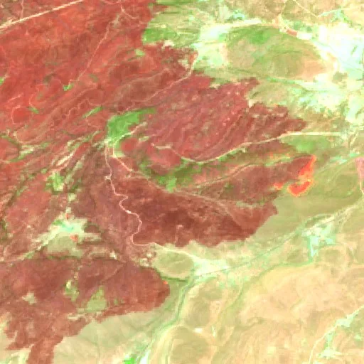 Wildfire near Sidi Djillali — Sentinel-2 SWIR (fuego)