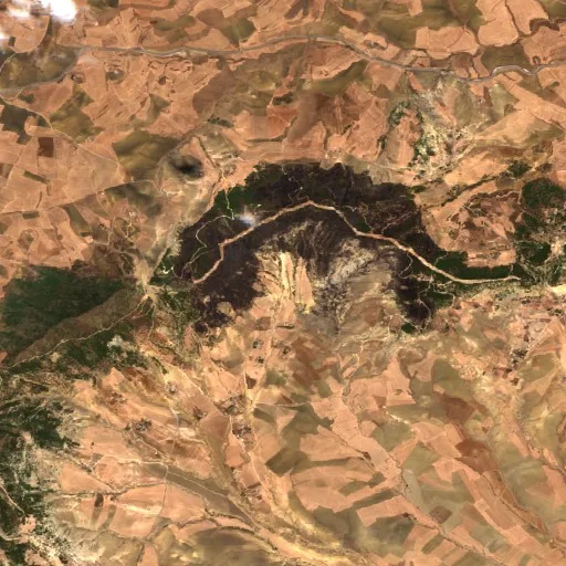 Wildfire near Sidi Fredj — Sentinel-2 true color