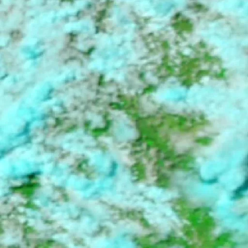 Sladevale Bushfire — NASA satellite