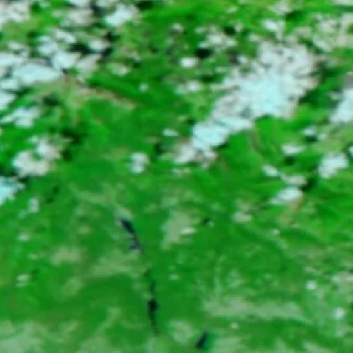 Wildfire near Sobrarbe — NASA satellite