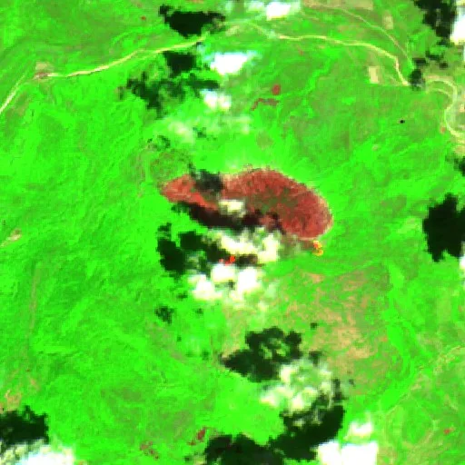 Wildfire near Soto la Marina (Sep 11) — Sentinel-2 SWIR (fuego)