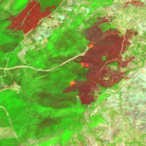 Wildfire near Souk Ahras — Sentinel-2 SWIR (fuego)