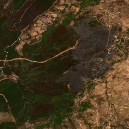 Wildfire near Souk Ahras — Sentinel-2 true color