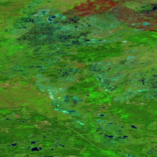 Wildfire near South Slave Region (Jun 26) — Sentinel-2 SWIR (fuego)