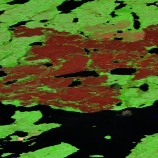 Incendio cerca de South Slave Region — Sentinel-2 SWIR (fuego)