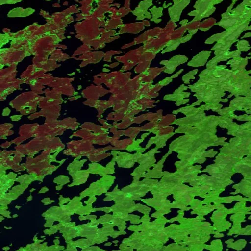 Wildfire near South Slave Region — Sentinel-2 SWIR