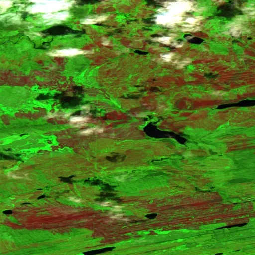 Wildfire near South Slave Region — Sentinel-2 SWIR (fuego)
