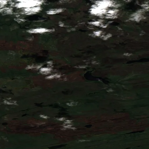 Wildfire near South Slave Region — Sentinel-2 true color