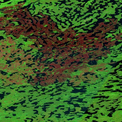 Wildfire near South Slave Region (Jun 24) — Sentinel-2 SWIR (fuego)