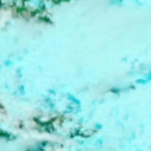 St Kilda Bushfire — NASA satellite