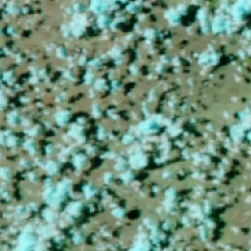 Stamford Bushfire — NASA satellite