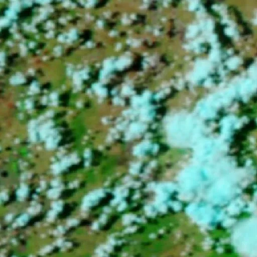 Incendio cerca de Stewarton — NASA satellite