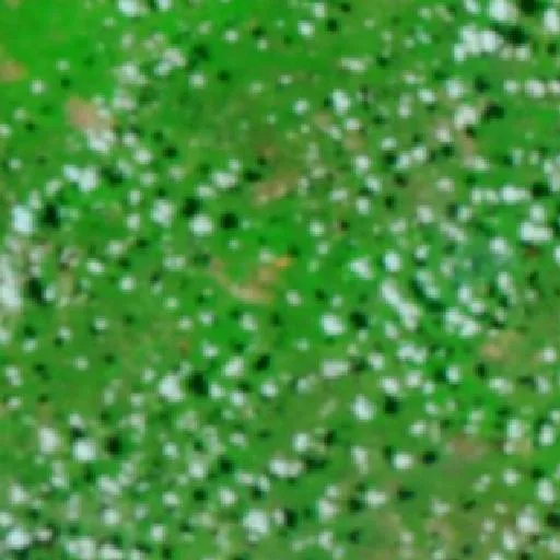 Wildfire near Sucupira do Riachão (Oct 14) — NASA satellite