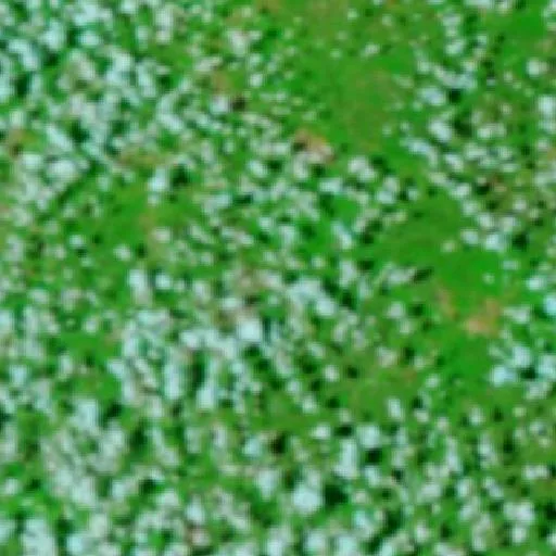 Incendio cerca de Sucupira do Riachão — NASA satellite