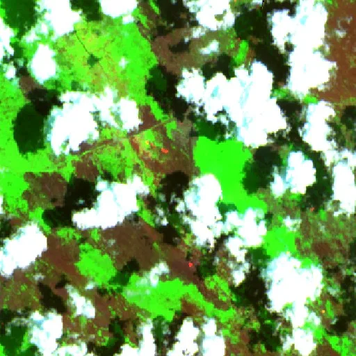 Wildfire near Sukamara — Sentinel-2 SWIR (fuego)