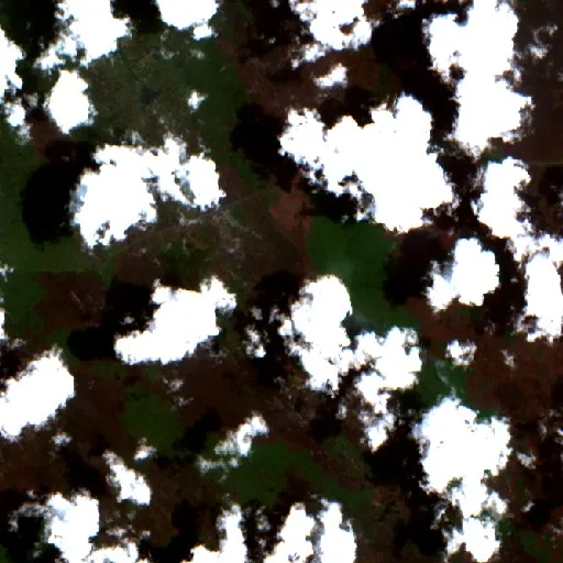 Wildfire near Sukamara — Sentinel-2 true color