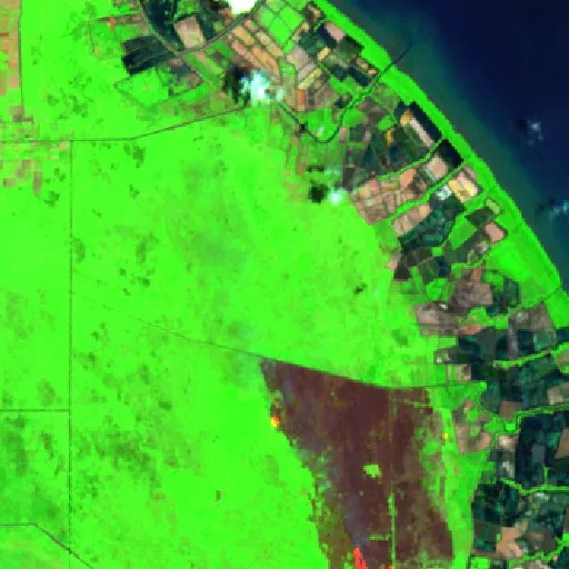 Wildfire near Sungaibali — Sentinel-2 SWIR (fuego)