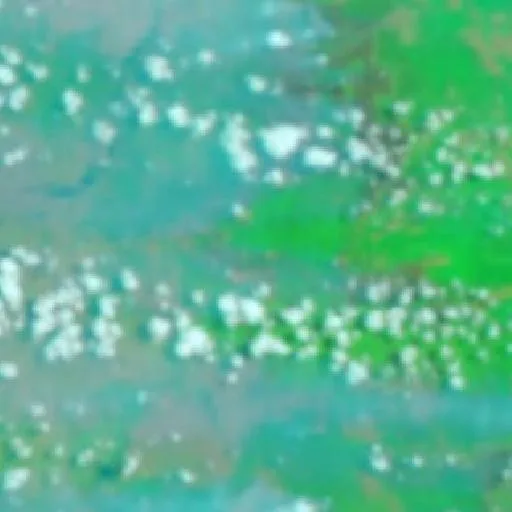 Wildfire near Sungaigerong (Sep 29 · S) — NASA satellite