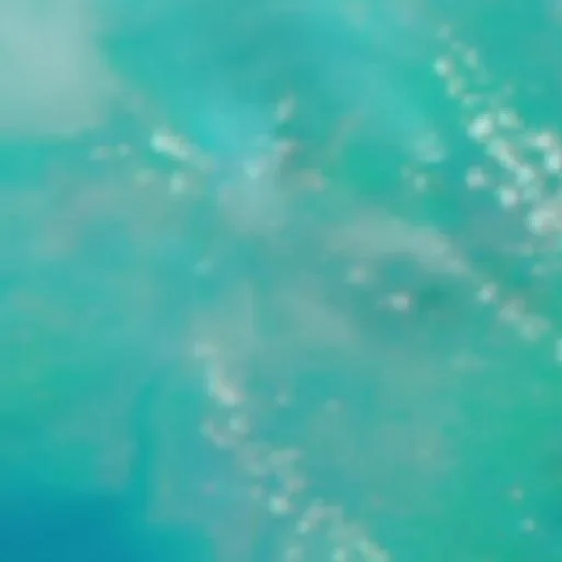 Wildfire near Sungaipuntik — NASA satellite