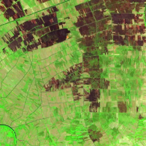 Incendio cerca de Sungaitabuk — Sentinel-2 SWIR (fuego)