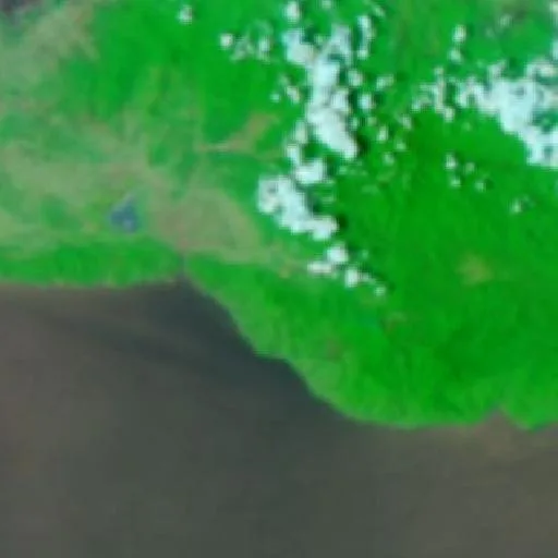Wildfire near Suwawa — NASA satellite