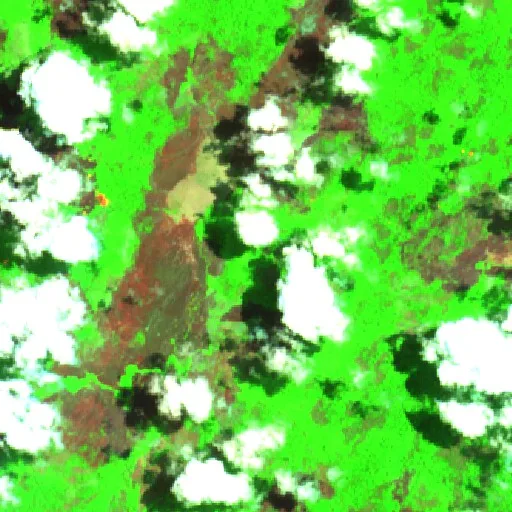 Wildfire near Taboca (Aug 31) — Sentinel-2 SWIR (fuego)